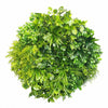 Artificial Green Wall Disk Art 80cm - Mixed Aloe Vera Deals499