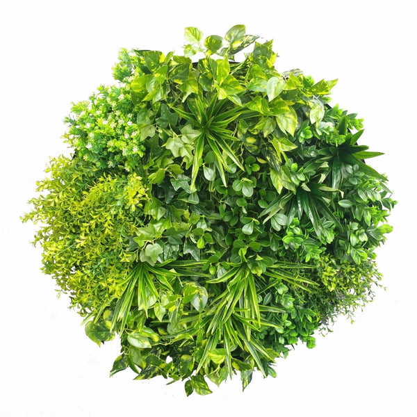 Artificial Green Wall Disk Art 80cm - Mixed Aloe Vera Deals499
