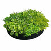 Artificial Green Wall Disk Art 80cm - Mixed Aloe Vera Deals499