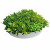Artificial Green Wall Disk Art 80cm - Mixed Aloe Vera Deals499