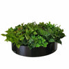 Artificial Green Wall Disk Art 60cm - Mixed Fern & Ivy Deals499