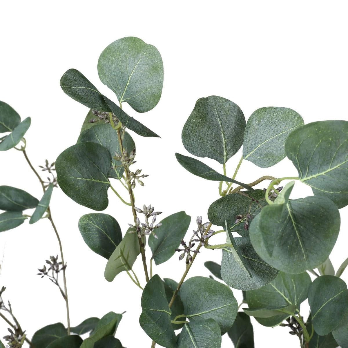Artificial Eucalyptus Tree (Red Box Eucalyptus Polyanthemos) 150cm Deals499