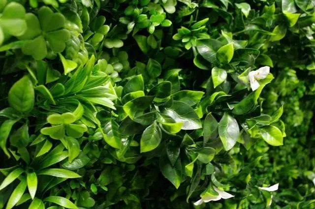 White Oasis Vertical Garden / Green Wall UV Resistant 1m x 1m Deals499