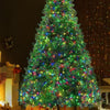 Jingle Jollys Christmas Tree LED 2.4M 8FT Xmas Decorations Green Home Decor Deals499