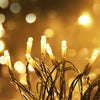 Jingle Jollys 100M 500 LED Christmas String Lights Warm White Deals499