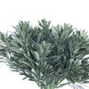 Cypress Bush Plant Stem UV Resistant 25cm Deals499