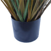 Flowering Native Fox Tail Grass 120 cm Deals499