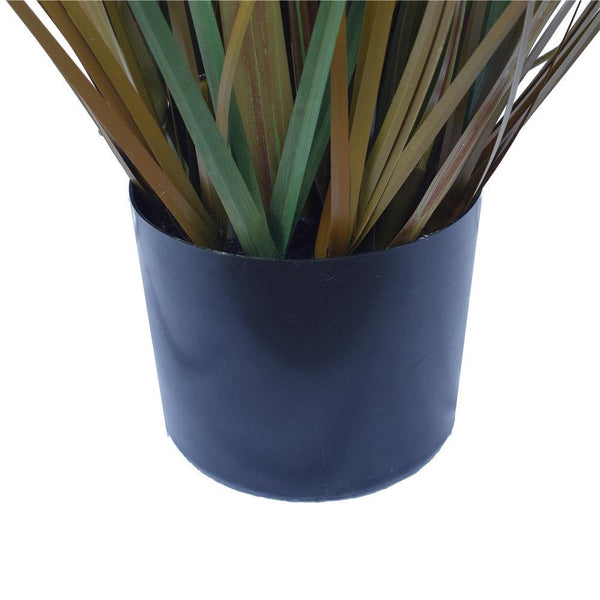 Flowering Native Fox Tail Grass 120 cm Deals499