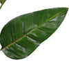 Artificial Potted 150cm Bird of Paradise Plant Deals499
