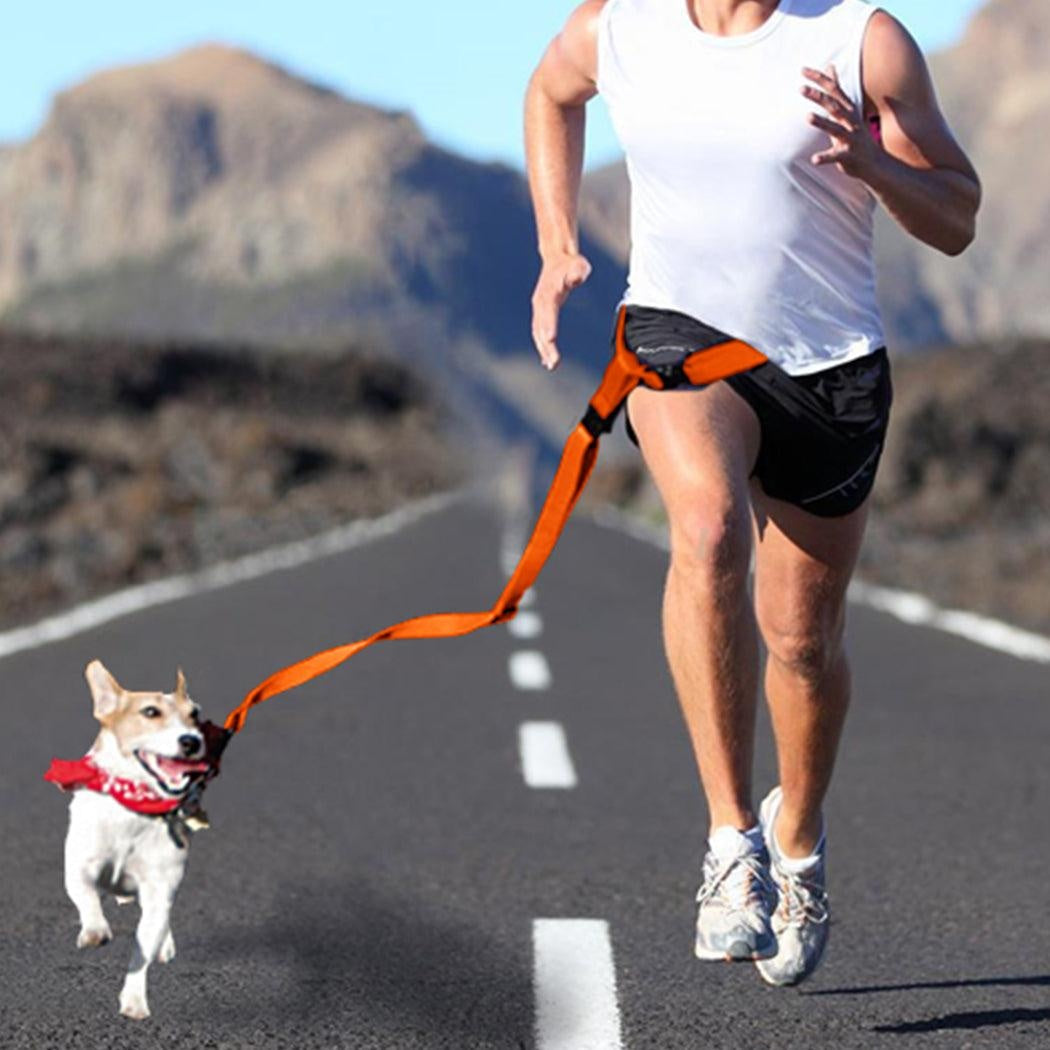 Adjustable Dog Hands Free Leash Waist Belt Buddy Jogging Walking Running Orange Deals499
