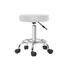 Artiss Round Chair Stools Salon Stool White Swivel Beauty Barber Hairdressing Deals499