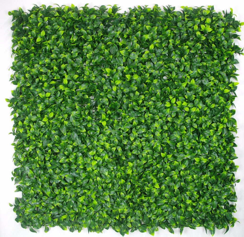 Jasmine Leaf Screens / Panels UV Stabilised 1m X 1m Deals499