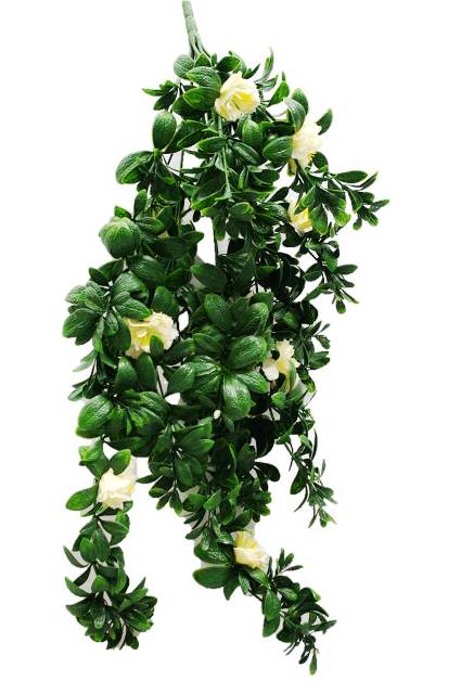 Hanging White Rose Stem UV 85cm Deals499
