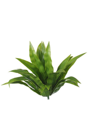 Aloe Vera Stem UV Deals499