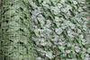 Artificial Ivy Leaf Hedging 3m X 1m Roll Deals499