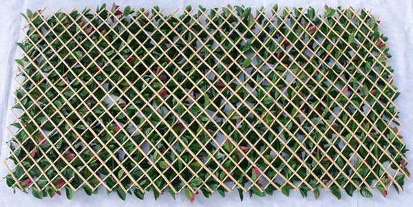 Photinia Hedge Extendable Trellis / Screen 2 Meter By 1 Meter UV Stabilised Deals499