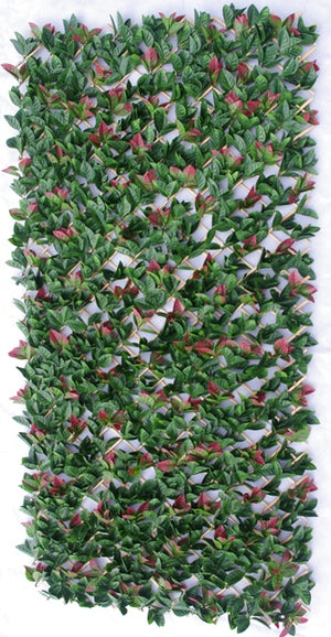 Photinia Hedge Extendable Trellis / Screen 2 Meter By 1 Meter UV Stabilised Deals499