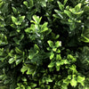 UV Resistant Artificial Topiary Shrub (Hedyotis) 50cm Mixed Green Deals499