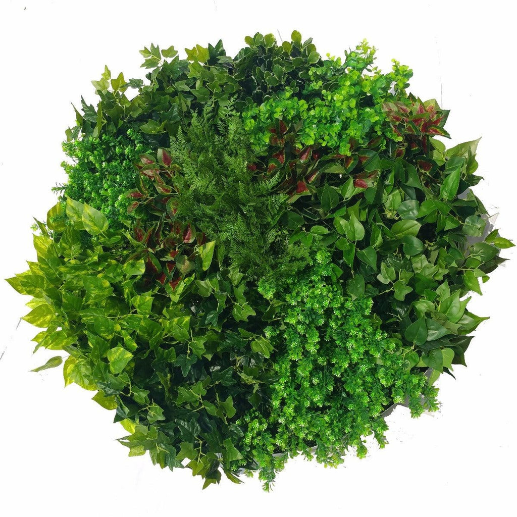 Artificial Green Wall Disk Art 100cm - Mixed Ivy And Fern Deals499