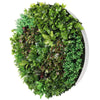 Artificial Green Wall Disc Art 150cm Dense Green Sensation (Fresh White) Deals499