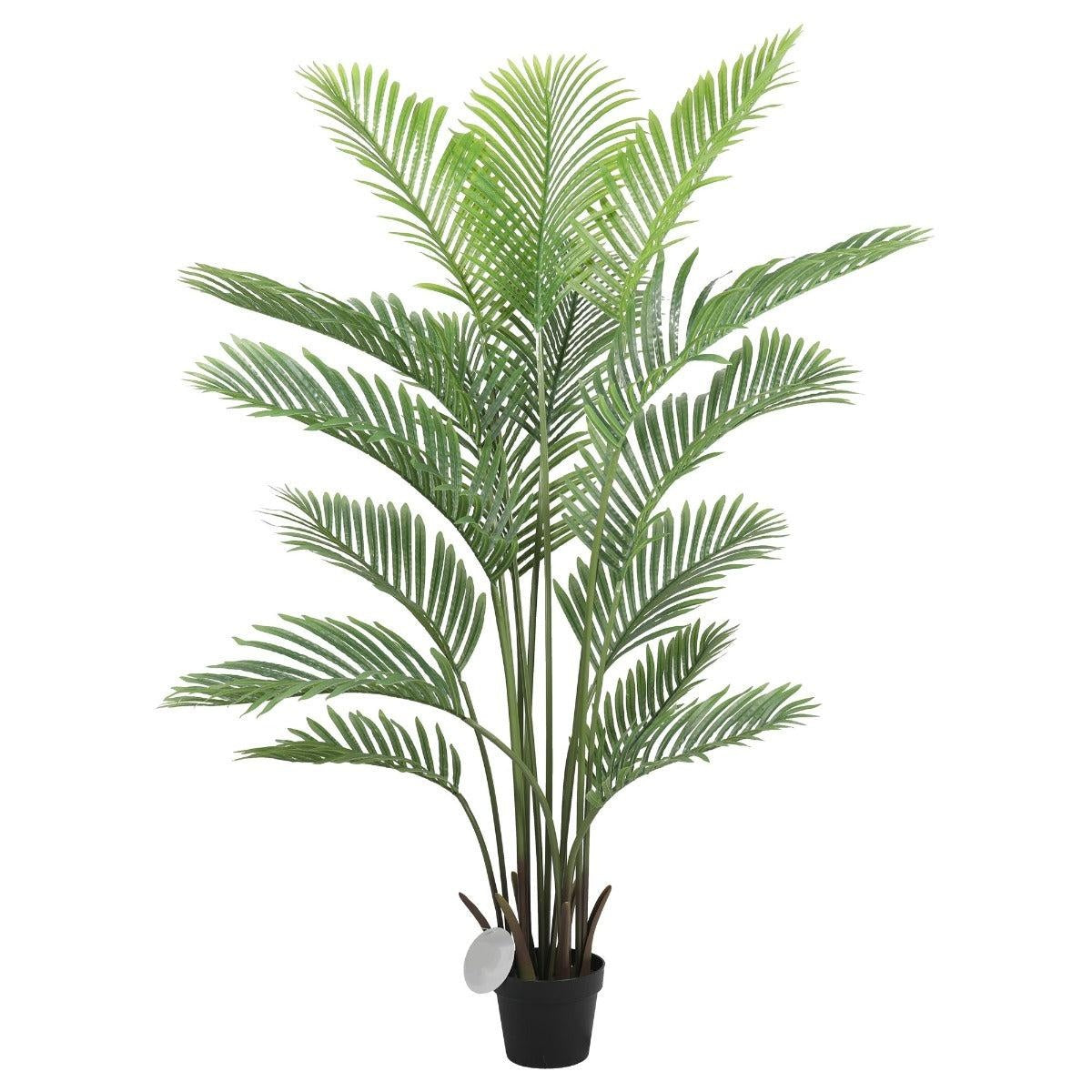 Premium Artificial Areca Palm Tree Real Touch 160cm Deals499
