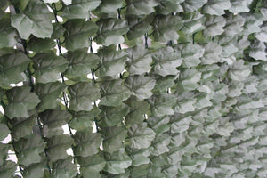 Double Sided Ivy Rolls 3m x 1m Deals499