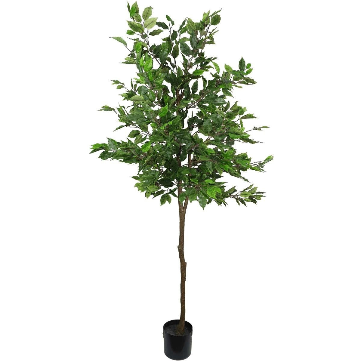 Artificial Potted Ficus Tree 160cm Deals499