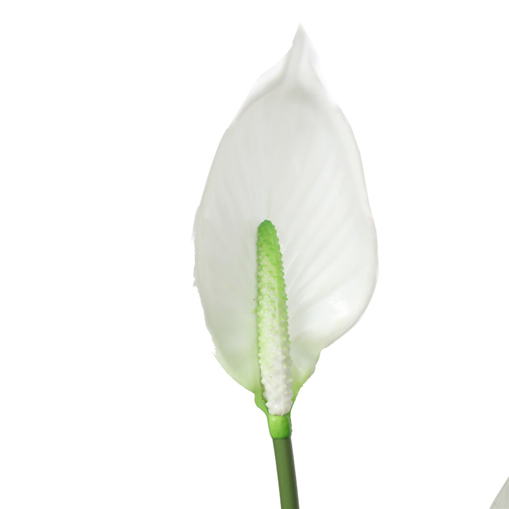 Artificial Flowering White Peace Lily / Calla Lily 95cm Deals499