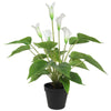 Artificial Flowering White Peace Lily / Calla Lily Plant 50cm Deals499