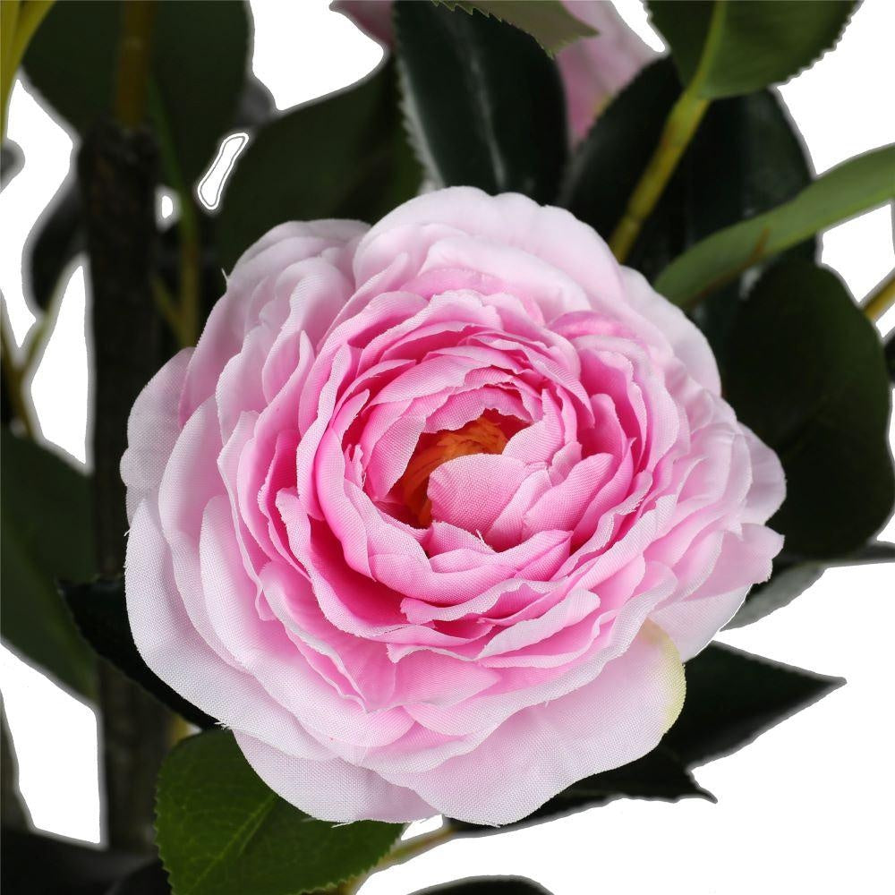 Flowering Pink Artificial Camellia Tree 180cm Deals499