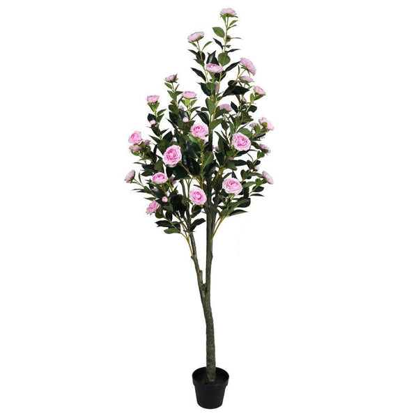 Flowering Pink Artificial Camellia Tree 180cm Deals499