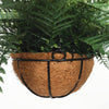 Potted Fern Hanging Basket (Fresh Green) UV Resistant 55cm Deals499