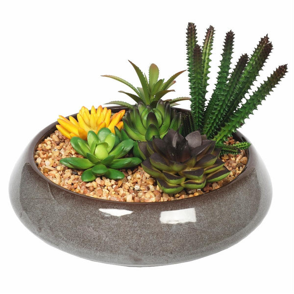 Potted Artificial Succulents with Round Decorative Bowl 19cm Deals499