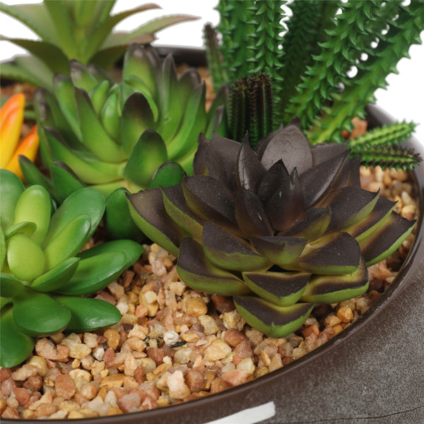 Potted Artificial Succulents with Round Decorative Bowl 19cm Deals499