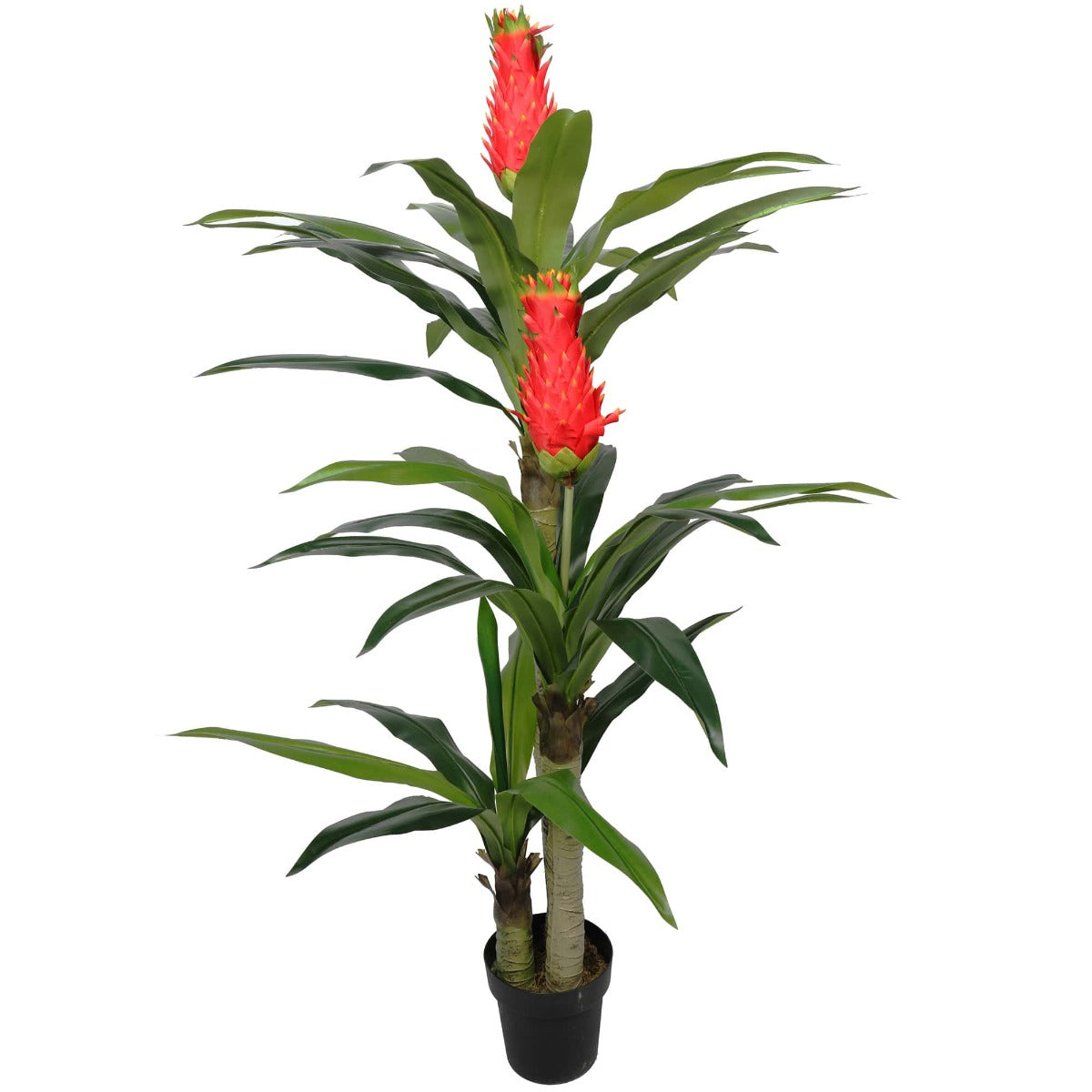 Faux Red Flowering Multi Cane Dracena 167cm Deals499