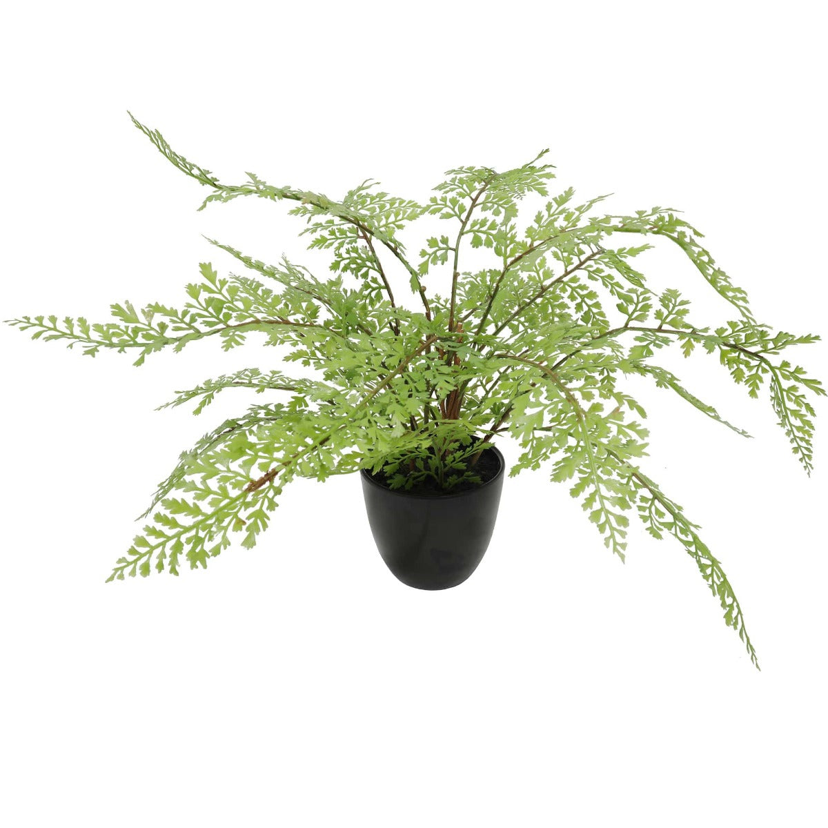 Faux Small Potted Fern 35cm Deals499