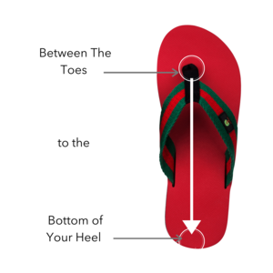Premium Red Green & Black Thongs Deals499