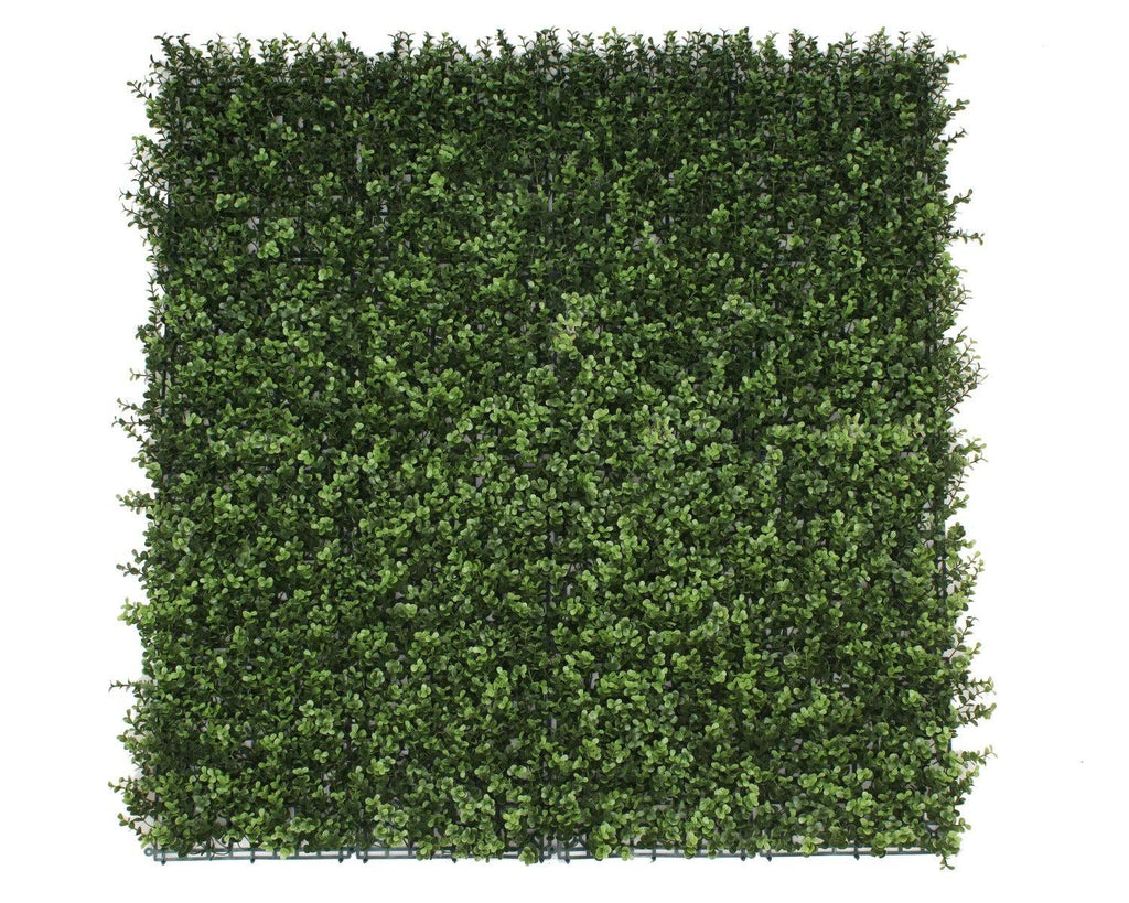 Premium Natural Buxus Hedge Panels UV Resistant 1m x 1m Deals499