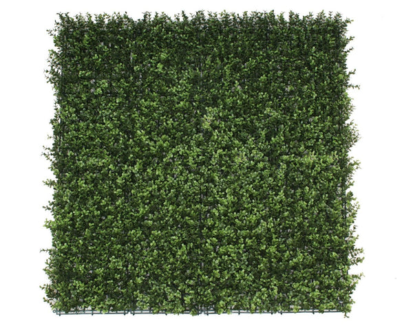 Premium Natural Buxus Hedge Panels UV Resistant 1m x 1m Deals499