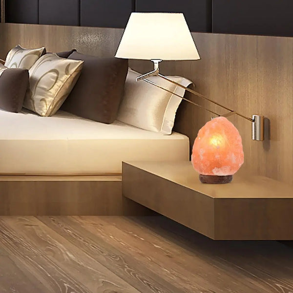 3-5 kg Himalayan Salt Lamp Rock Crystal Natural Light Dimmer Switch Cord Globes Deals499