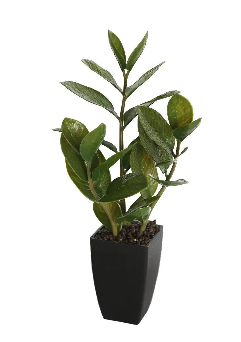 46cm Potted Zanzibar Deals499