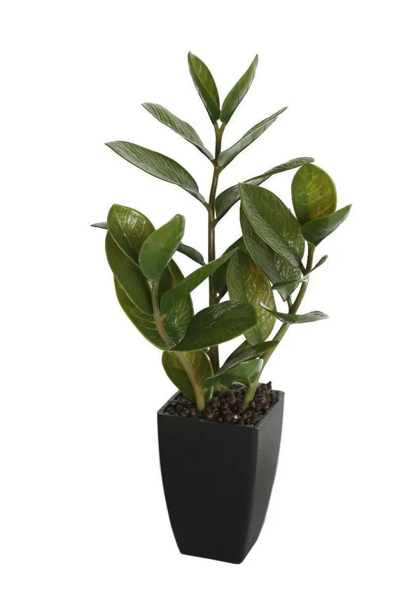 46cm Potted Zanzibar Deals499