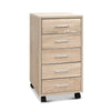 5 Drawer Filing Cabinet Storage Drawers Wood Study Office School File Cupboard Deals499