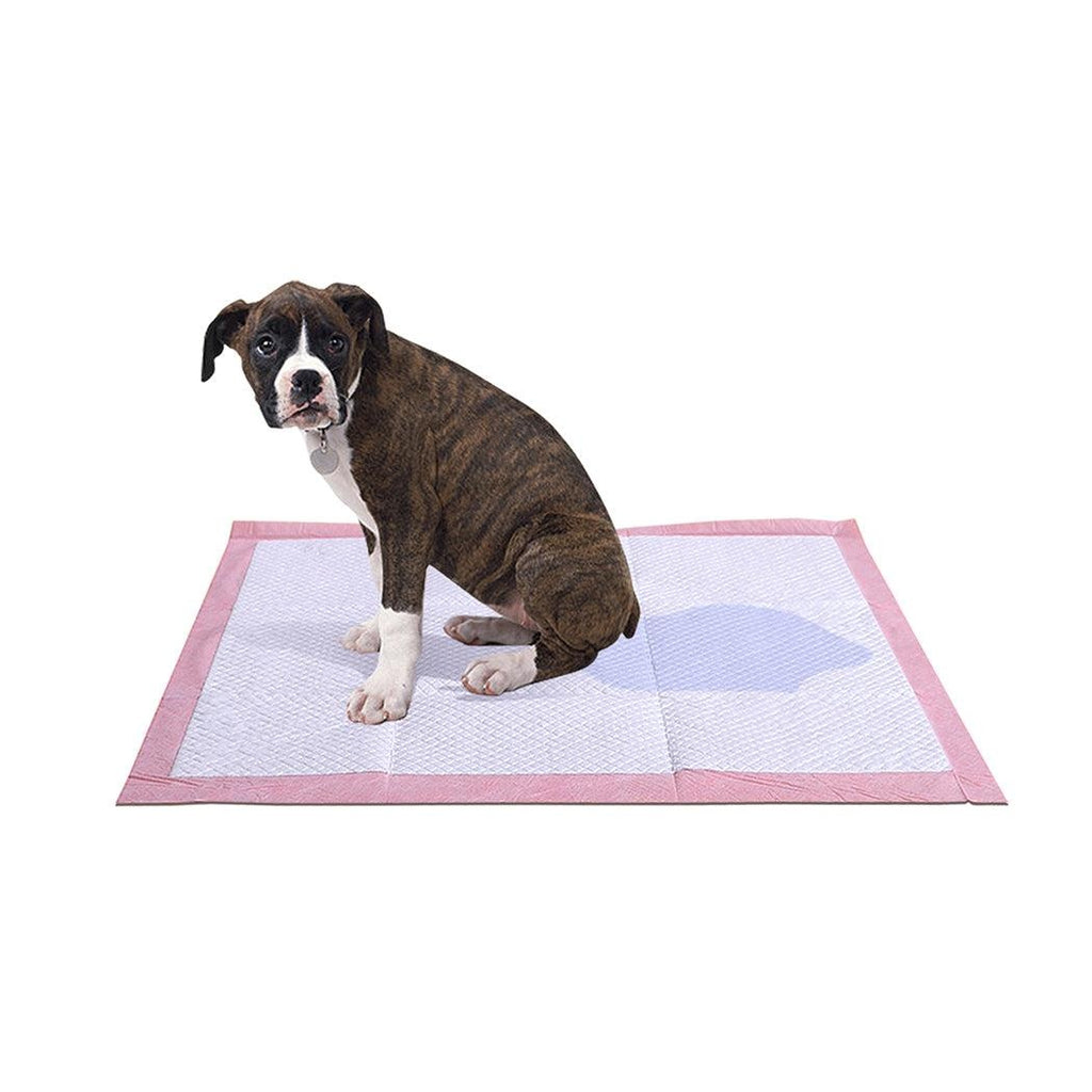 PaWz 100 Pcs 60x60 cm Pet Puppy Toilet Training Pads Absorbent Lavender Scent Deals499