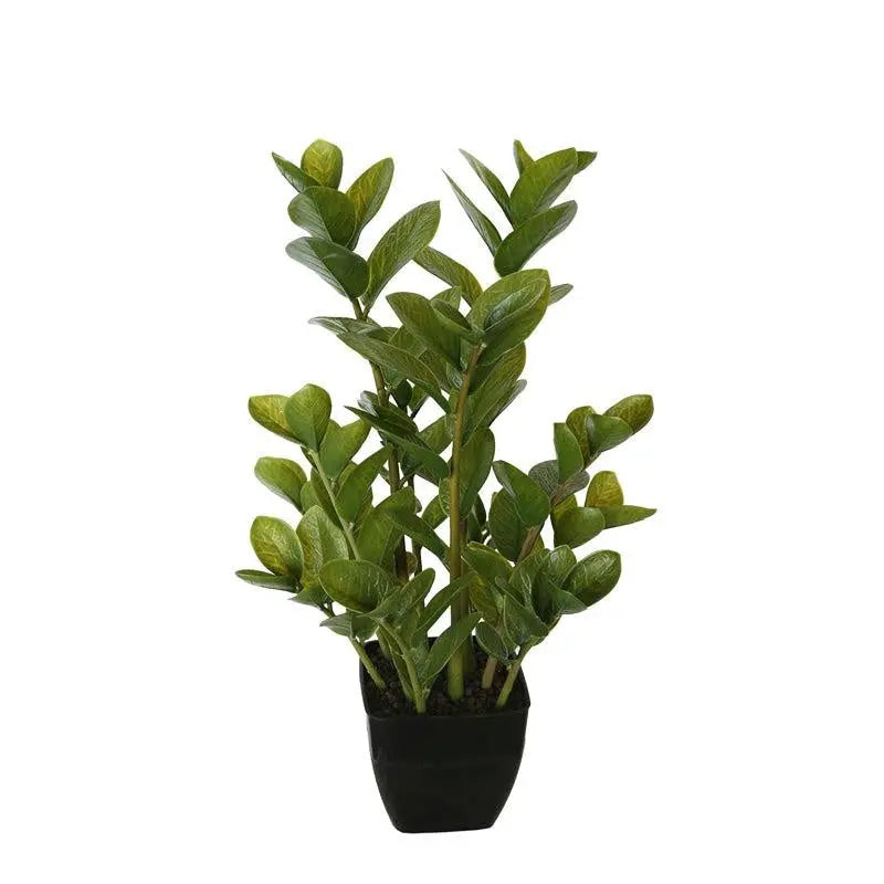 72cm Potted Multi Stem Zanzibar Deals499