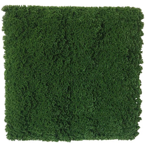 Dark Natural Green Artificial Moss / Green Wall UV Resistant 1m x 1m Deals499