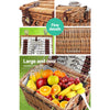 Alfresco 4 Person Picnic Basket Baskets Wicker Deluxe Outdoor Insulated Blanket Deals499