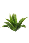 Aloe Vera Stem UV Deals499