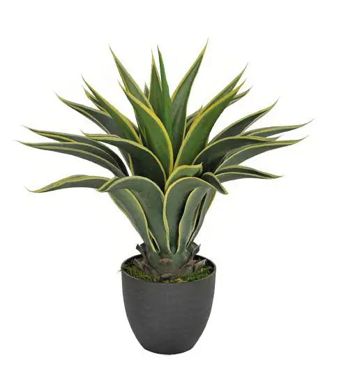 Artificial Agave 60cm Deals499