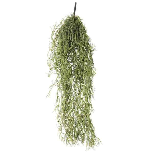 Artificial Air Plant Spanish Moss - Old Man Beard 60cm Deals499